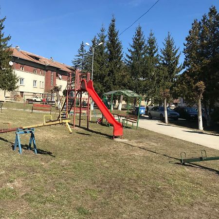 Garsoniera Mandrilor Διαμέρισμα Slănic Εξωτερικό φωτογραφία